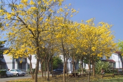 002 (1)