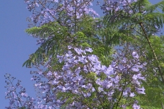 010 (1)