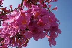 020401