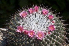 021507