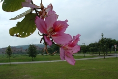 040804