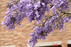 042202