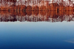 07 (1)
