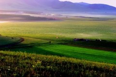 082202