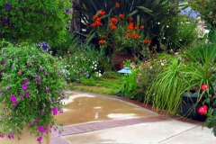 2004-0621-front-yard-1-web