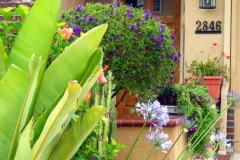 2004-0621-front-yard-4-web