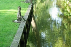 pic09174